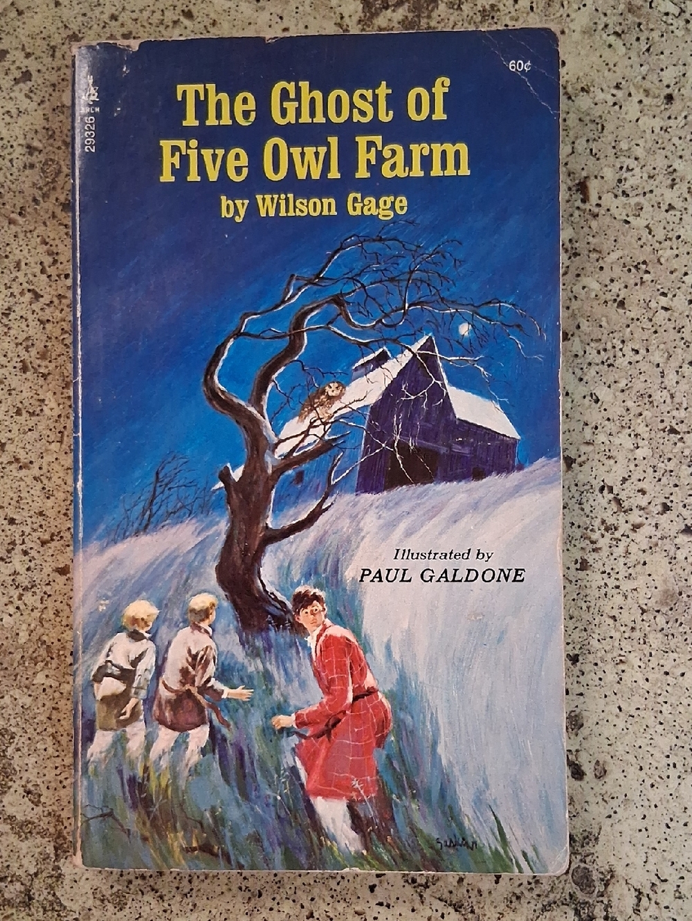 The Ghost of Five Owl Farm by Wilson Gage Vintage Children's Mystery Chapter